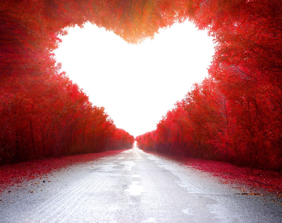 A Profundidade do Amor: Sacrifício, Perdão e Compromisso Mútuo